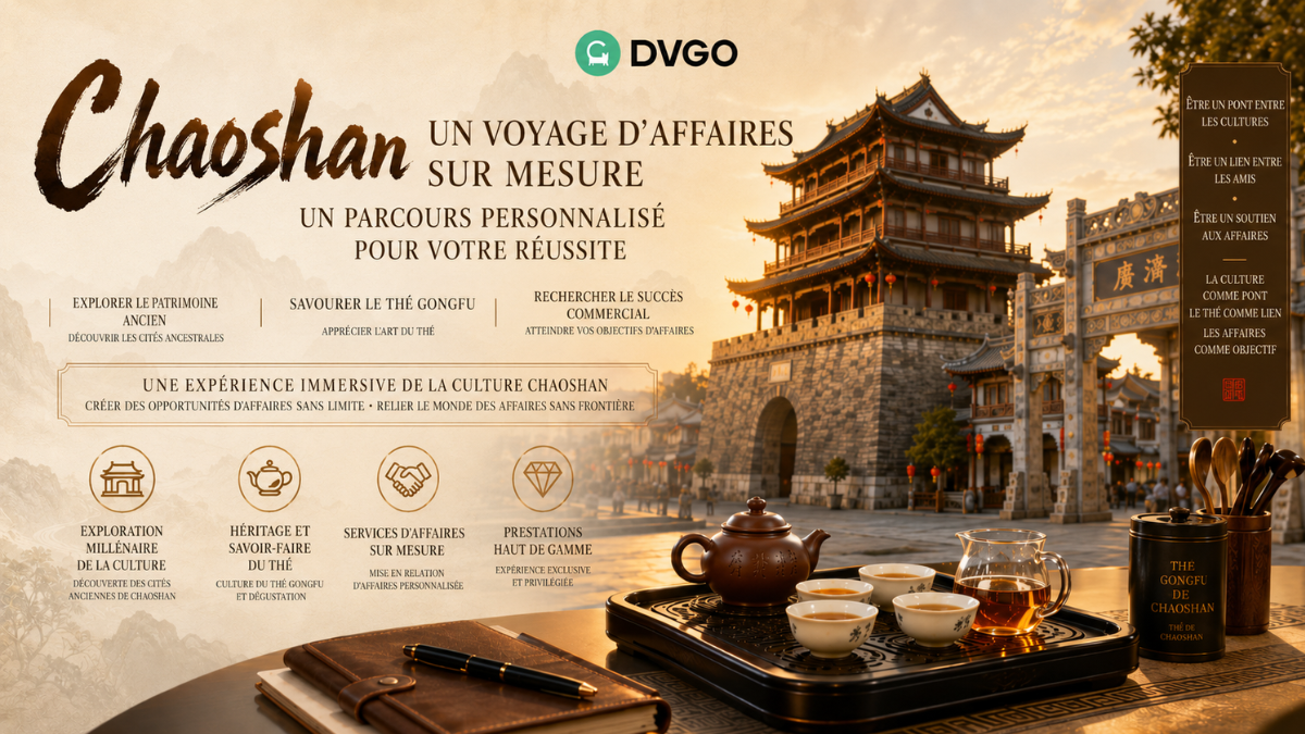 Voyage d'affaires sur mesure DVGO à Chaoshan _ expérience haut de gamme de la culture et de la gastronomie de Chaoshan pour les professionnels du monde des affaires